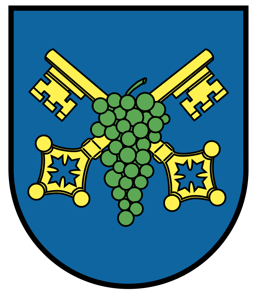 Prohlížečka usnesení 